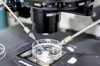 2026常州市最大的助孕机构排行榜已公布，专业助孕公司护您好孕来