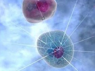 2026北京大学深圳医院卵子生子试管费用清单