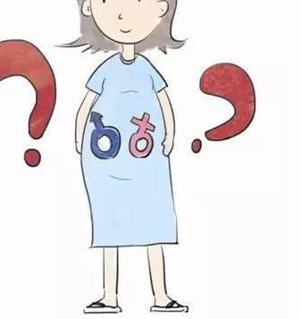 2026上海三代试管摇篮盘点：权威助孕机构一网打尽，必看攻略！