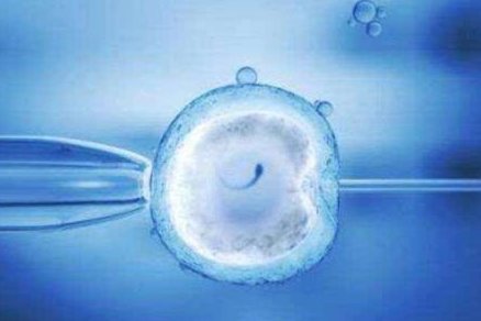 2026厦门试管婴儿医院排名比较好已公布